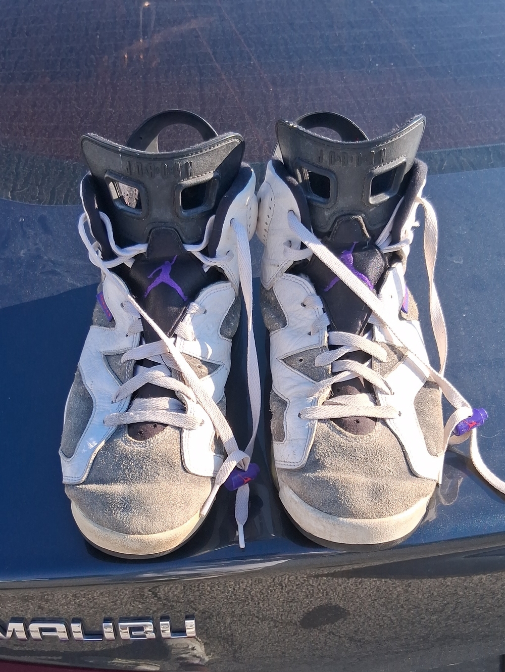 Jordan 6 White Grey And Purple